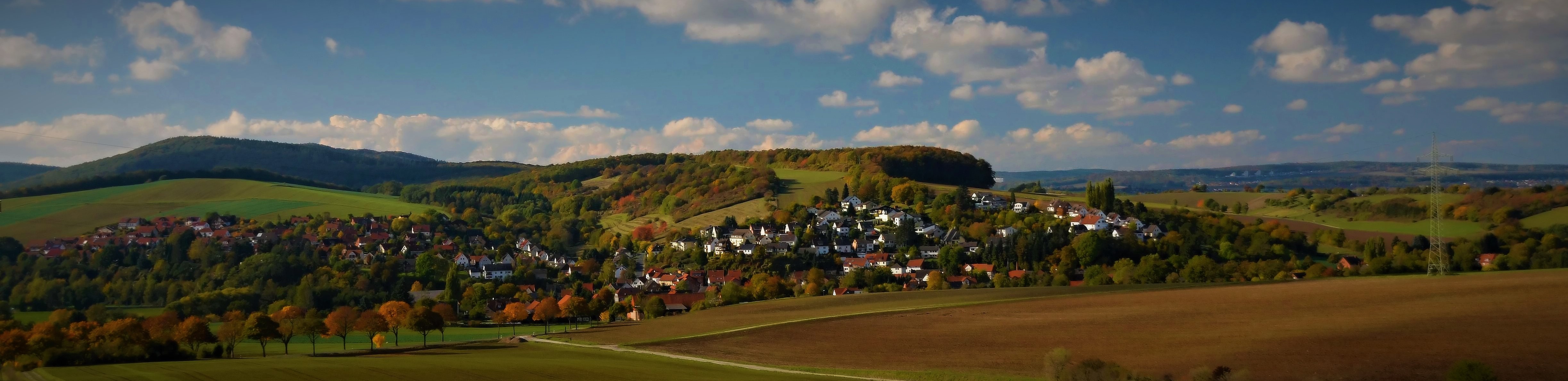 Wesseln Banner